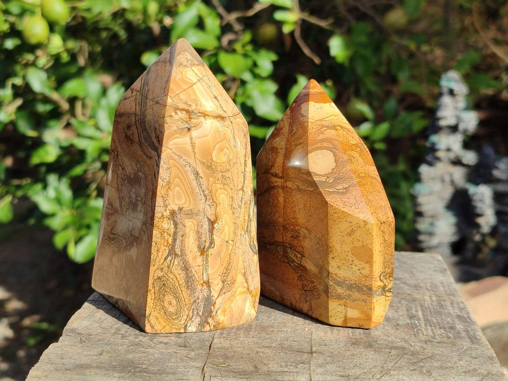 Polished Picture Stone Jasper Display Crystal Points x 2 From Ais-Ais, Namibia - Toprock Gemstones and Minerals 