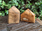 Polished Picture Stone Jasper Display Crystal Points x 2 From Ais-Ais, Namibia - Toprock Gemstones and Minerals 