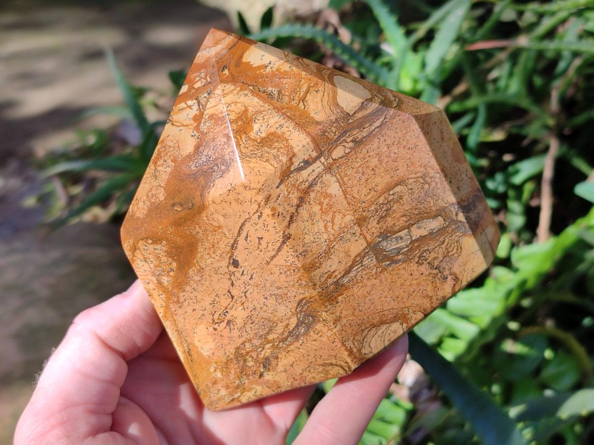 Polished Picture Stone Jasper Display Crystal Points x 2 From Ais-Ais, Namibia - Toprock Gemstones and Minerals 