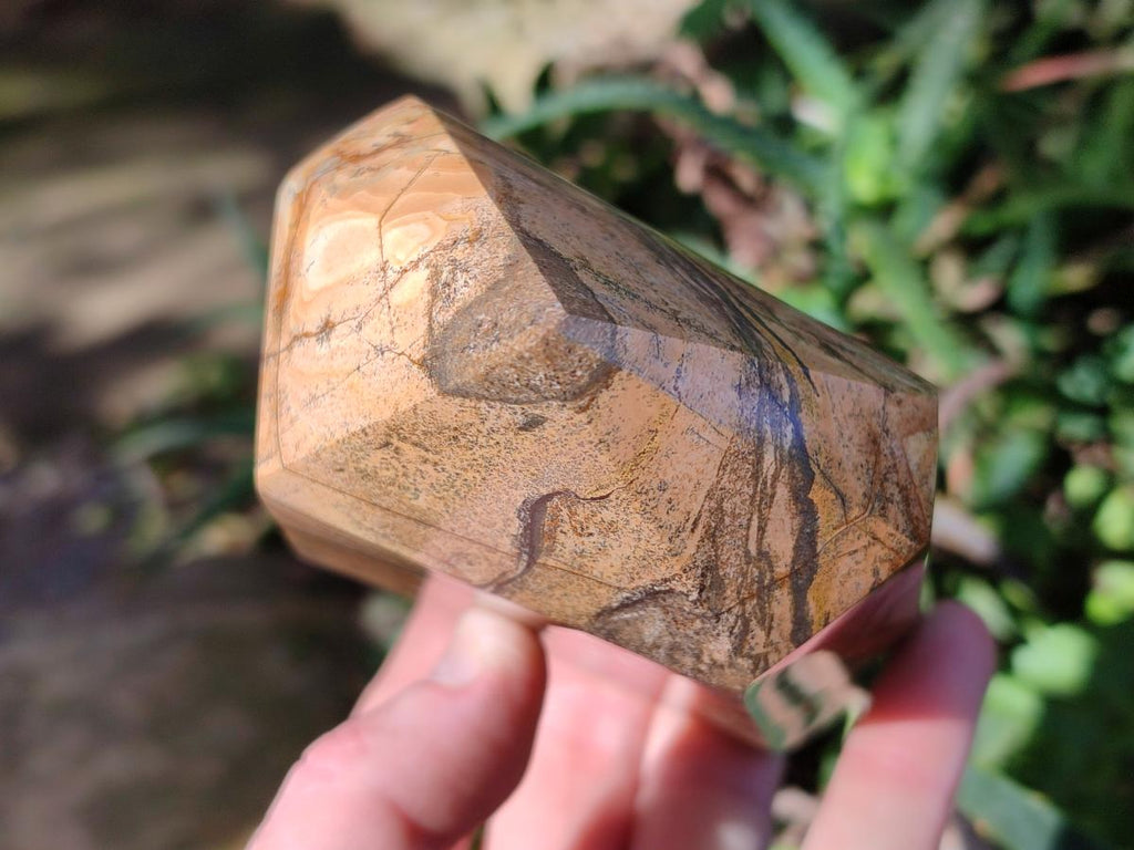 Polished Picture Stone Jasper Display Crystal Points x 2 From Ais-Ais, Namibia - Toprock Gemstones and Minerals 