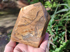 Polished Picture Stone Jasper Display Crystal Points x 2 From Ais-Ais, Namibia - Toprock Gemstones and Minerals 