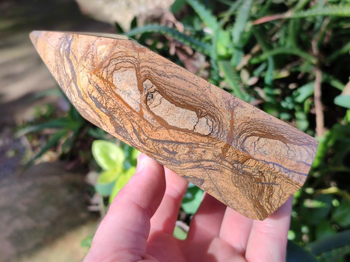 Polished Picture Stone Jasper Display Crystal Points x 2 From Ais-Ais, Namibia - Toprock Gemstones and Minerals 