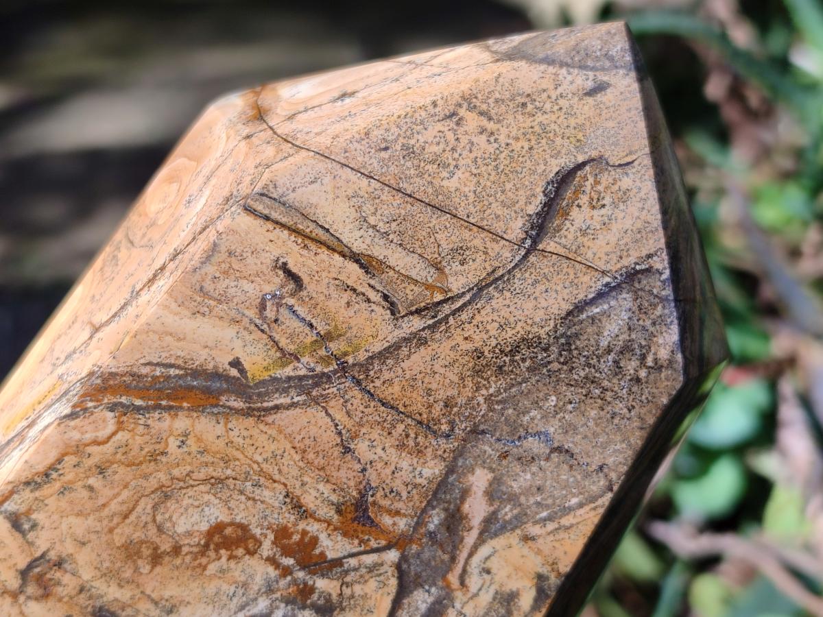 Polished Picture Stone Jasper Display Crystal Points x 2 From Ais-Ais, Namibia - Toprock Gemstones and Minerals 