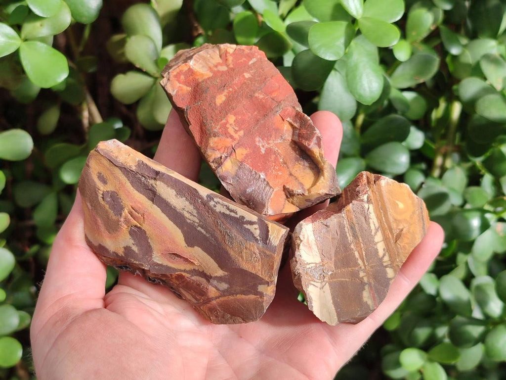 Natural Nguni Jasper Cobbed Specimens x 24 From Northern Cape, South Africa - Toprock Gemstones and Minerals 
