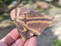 Natural Nguni Jasper Cobbed Specimens x 24 From Northern Cape, South Africa - Toprock Gemstones and Minerals 