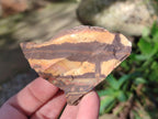 Natural Nguni Jasper Cobbed Specimens x 24 From Northern Cape, South Africa - Toprock Gemstones and Minerals 