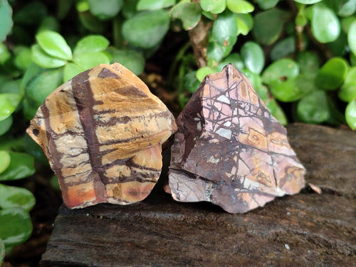 Natural Nguni Jasper Cobbed Specimens x 24 From Northern Cape, South Africa - Toprock Gemstones and Minerals 