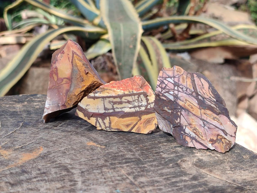 Natural Nguni Jasper Cobbed Specimens x 24 From Northern Cape, South Africa - Toprock Gemstones and Minerals 