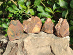 Natural Nguni Jasper Cobbed Specimens x 24 From Northern Cape, South Africa - Toprock Gemstones and Minerals 