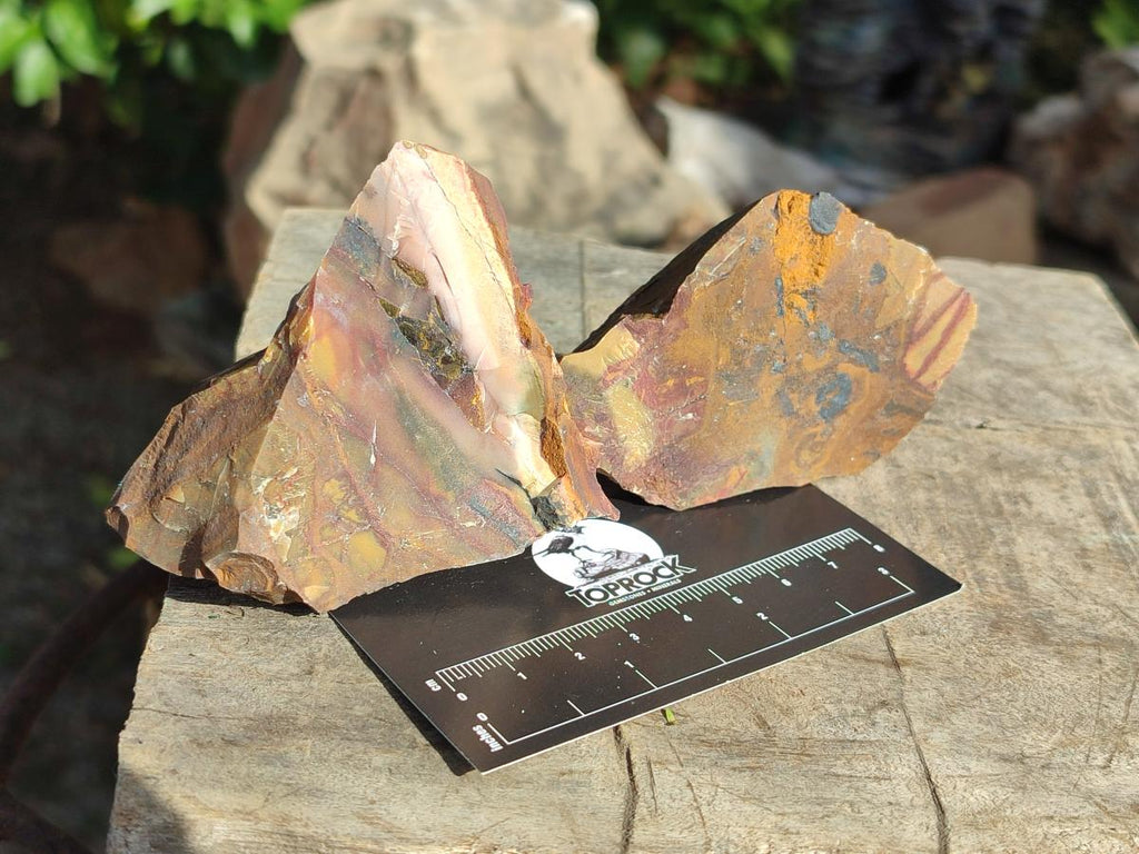 Natural Nguni Jasper Cobbed Specimens x 24 From Northern Cape, South Africa - Toprock Gemstones and Minerals 