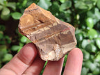 Natural Nguni Jasper Cobbed Specimens x 24 From Northern Cape, South Africa - Toprock Gemstones and Minerals 