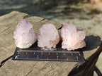 Natural Cactus Flower Spirit Amethyst Crystals x 40 From Boekenhouthoek, South Africa - Toprock Gemstones and Minerals 