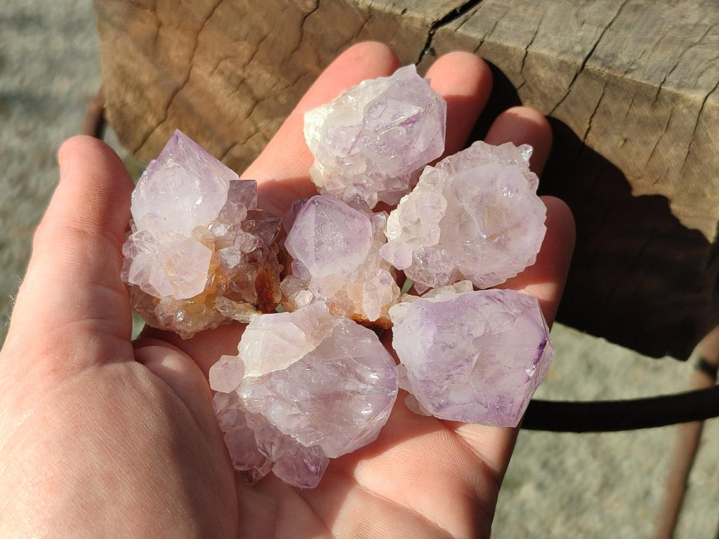 Natural Cactus Flower Spirit Amethyst Crystals x 40 From Boekenhouthoek, South Africa - Toprock Gemstones and Minerals 