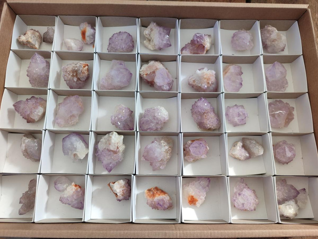 Natural Cactus Flower Spirit Amethyst Crystals x 40 From Boekenhouthoek, South Africa - Toprock Gemstones and Minerals 