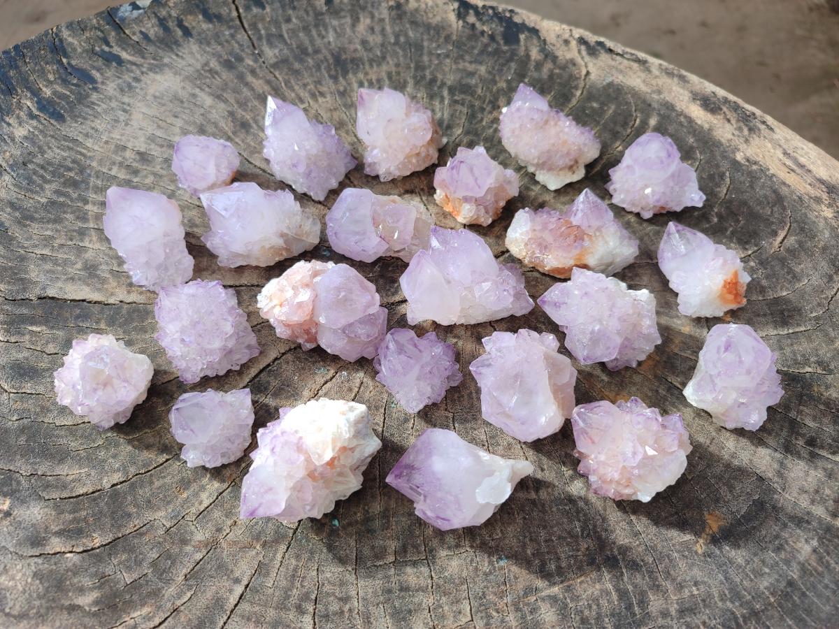 Natural Cactus Flower Spirit Amethyst Crystals x 40 From Boekenhouthoek, South Africa - Toprock Gemstones and Minerals 