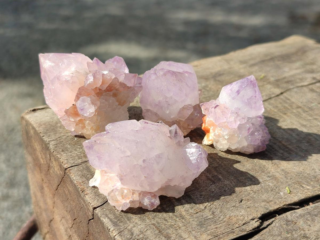 Natural Cactus Flower Spirit Amethyst Crystals x 40 From Boekenhouthoek, South Africa - Toprock Gemstones and Minerals 