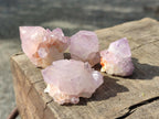 Natural Cactus Flower Spirit Amethyst Crystals x 40 From Boekenhouthoek, South Africa - Toprock Gemstones and Minerals 