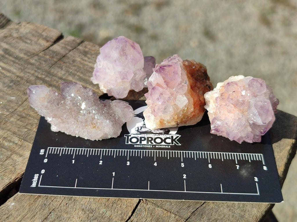 Natural Cactus Flower Spirit Amethyst Crystals x 40 From Boekenhouthoek, South Africa - Toprock Gemstones and Minerals 