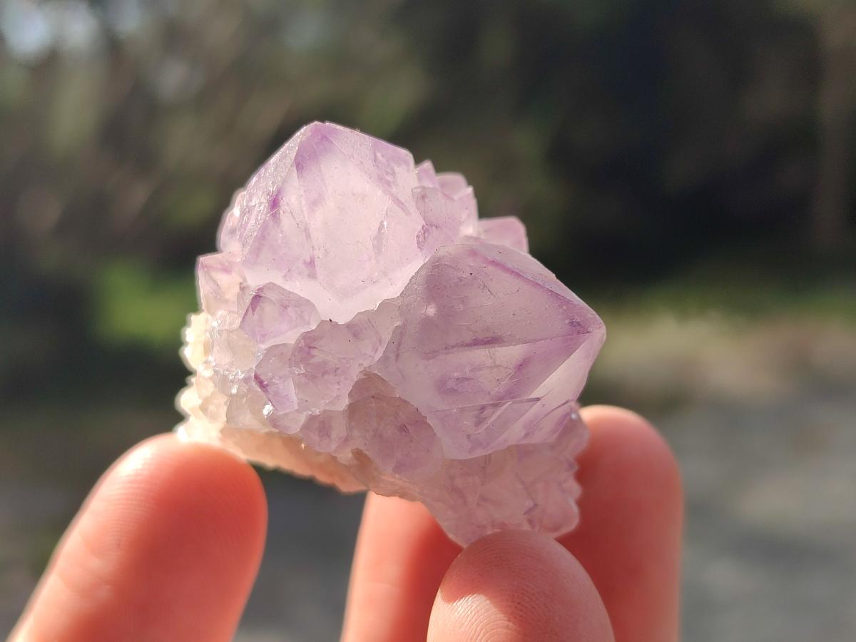 Natural Cactus Flower Spirit Amethyst Crystals x 40 From Boekenhouthoek, South Africa - Toprock Gemstones and Minerals 