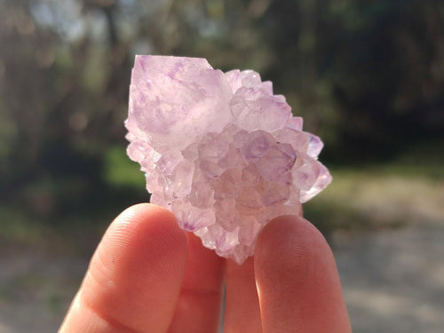 Natural Cactus Flower Spirit Amethyst Crystals x 40 From Boekenhouthoek, South Africa - Toprock Gemstones and Minerals 