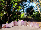 Natural Window Amethyst Crystals x 12 From Ambatondrazaka, Madagascar - Toprock Gemstones and Minerals 