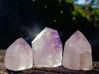 Natural Window Amethyst Crystals x 12 From Ambatondrazaka, Madagascar - Toprock Gemstones and Minerals 