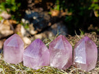 Natural Window Amethyst Crystals x 12 From Ambatondrazaka, Madagascar - Toprock Gemstones and Minerals 