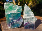Polished One Side Watermelon Fluorite Slices x 2 From Uis, Namibia - Toprock Gemstones and Minerals 