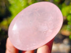 Polished Gemmy Rose Quartz Palm Stones x 20 From Madagascar - Toprock Gemstones and Minerals 
