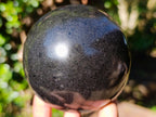 Polished Black Basalt Spheres x 2 From Madagascar - Toprock Gemstones and Minerals 