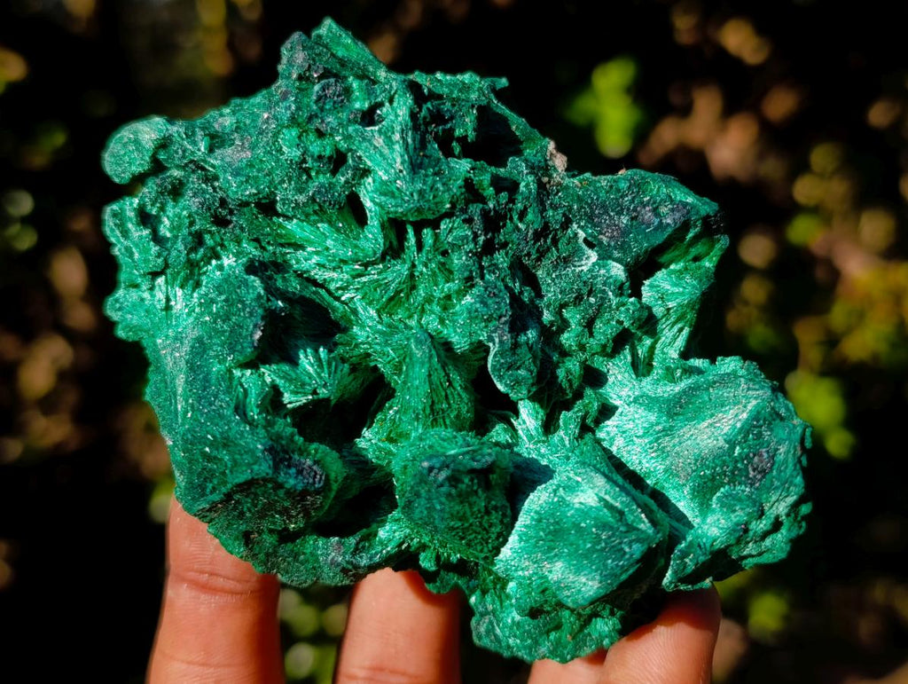 Natural Silky Malachite Specimens x 4 From Kasompe, Congo - Toprock Gemstones and Minerals 