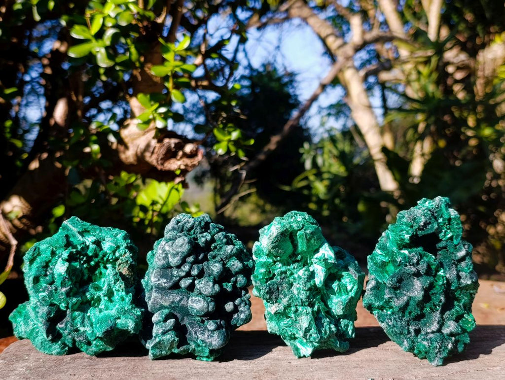 Natural Silky Malachite Specimens x 4 From Kasompe, Congo - Toprock Gemstones and Minerals 