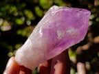 Natural Jacaranda Amethyst Single Crystals x 20 From Mumbwa, Zambia - Toprock Gemstones and Minerals 