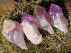 Natural Jacaranda Amethyst Single Crystals x 20 From Mumbwa, Zambia - Toprock Gemstones and Minerals 