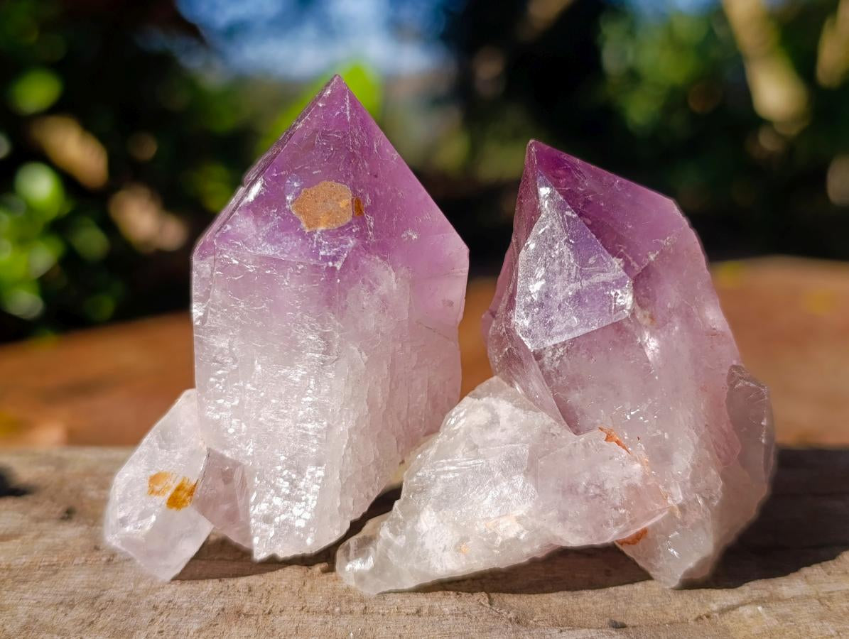 Natural Jacaranda Amethyst Single Crystals x 20 From Mumbwa, Zambia - Toprock Gemstones and Minerals 