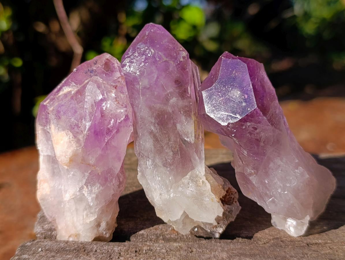 Natural Jacaranda Amethyst Single Crystals x 20 From Mumbwa, Zambia - Toprock Gemstones and Minerals 