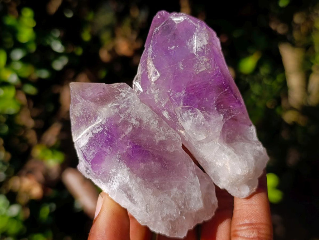 Natural Jacaranda Amethyst Single Crystals x 20 From Mumbwa, Zambia - Toprock Gemstones and Minerals 