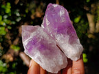 Natural Jacaranda Amethyst Single Crystals x 20 From Mumbwa, Zambia - Toprock Gemstones and Minerals 