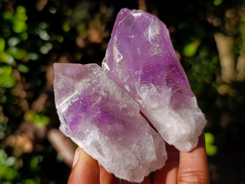 Natural Jacaranda Amethyst Single Crystals x 20 From Mumbwa, Zambia - Toprock Gemstones and Minerals 
