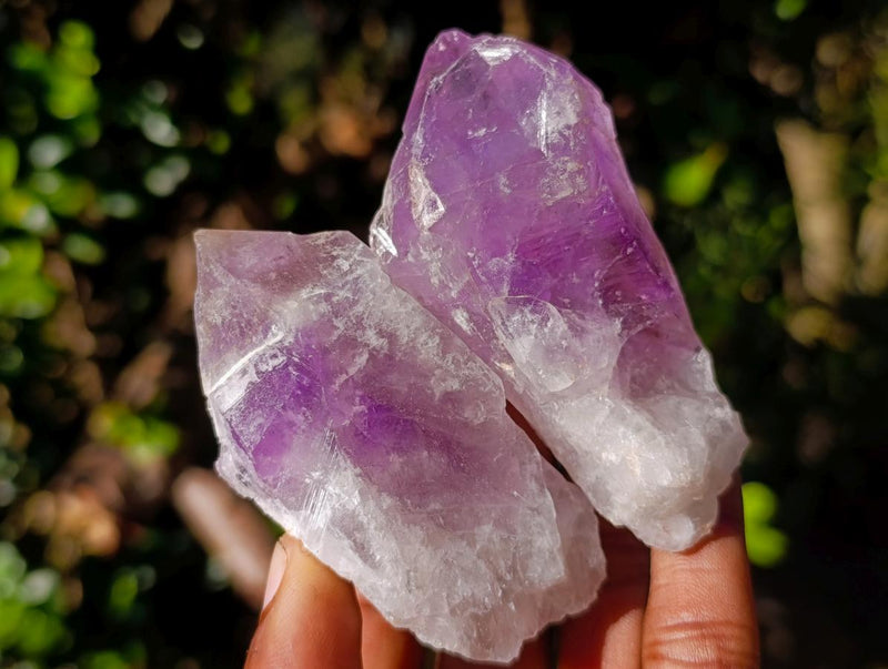 Natural Jacaranda Amethyst Single Crystals x 20 From Mumbwa, Zambia - Toprock Gemstones and Minerals 