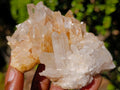 Natural Mix of Quartz Crystal Clusters x 24 From Madagascar - Toprock Gemstones and Minerals 