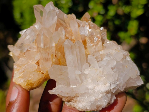 Natural Mix of Quartz Crystal Clusters x 24 From Madagascar - Toprock Gemstones and Minerals 