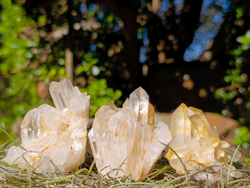 Natural Mix of Quartz Crystal Clusters x 24 From Madagascar - Toprock Gemstones and Minerals 