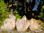 Natural Mix of Quartz Crystal Clusters x 24 From Madagascar - Toprock Gemstones and Minerals 