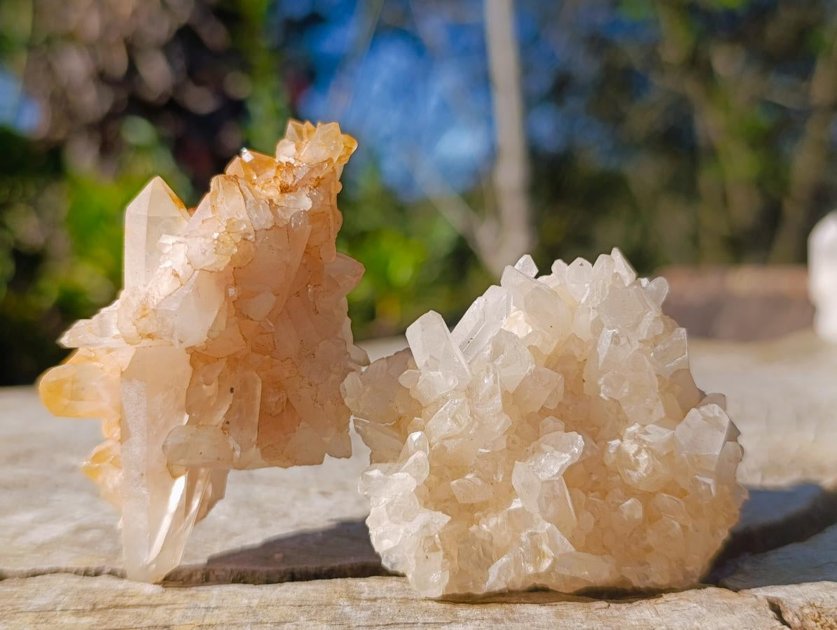 Natural Mix of Quartz Crystal Clusters x 24 From Madagascar - Toprock Gemstones and Minerals 