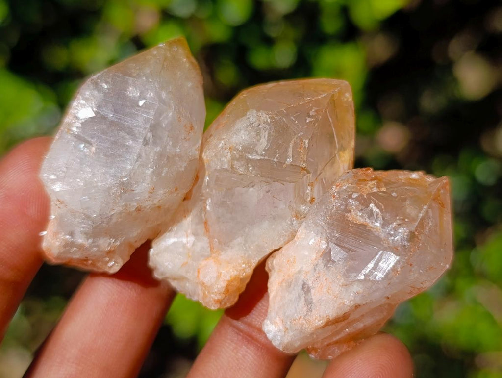 Natural Multi Mineral Specimens x 2.55 Kg Lot From Southern Africa - Toprock Gemstones and Minerals 