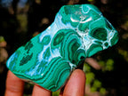 Polished Malacolla Free Forms x 12 From Kulukuluku, Congo - Toprock Gemstones and Minerals 