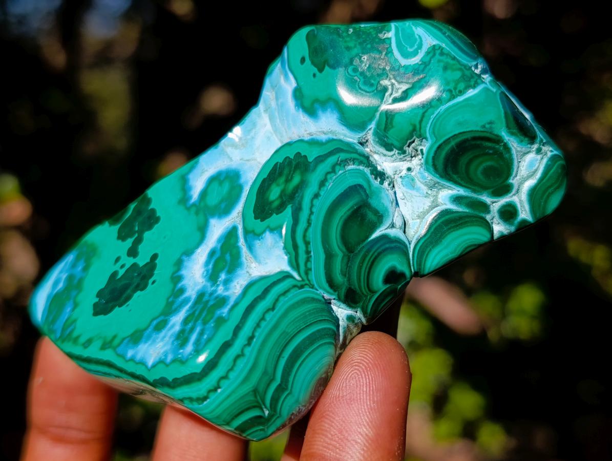 Polished Malacolla Free Forms x 12 From Kulukuluku, Congo - Toprock Gemstones and Minerals 
