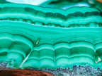 Polished Malacolla Free Forms x 12 From Kulukuluku, Congo - Toprock Gemstones and Minerals 