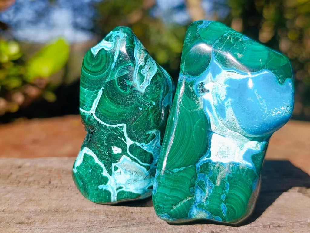 Polished Malacolla Free Forms x 12 From Kulukuluku, Congo - Toprock Gemstones and Minerals 